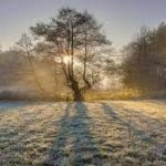 Met office predicts dry weather for Sindh