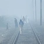 Cold, dry weather expected, historic cold wave alert false