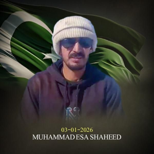 Captain, solider, civilian embrace martyrdom in snow clearness operation