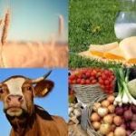 Kyrgyz product exports gain momentum