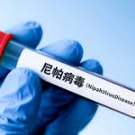 No case of Nipah virus disease detected in China so far: China's disease control authorities
