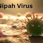 No immediate Nipah virus threat in Sri Lanka: health official