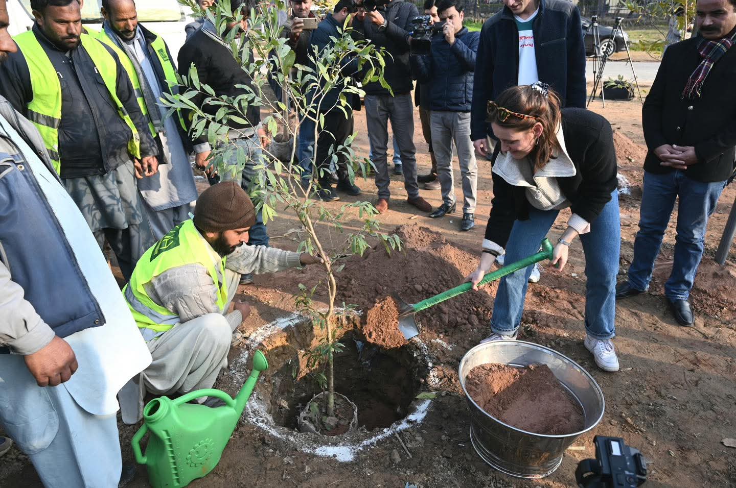 Science-based tree drive slashes pollen allergies in Islamabad