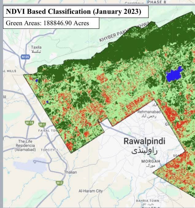 Science-based tree drive slashes pollen allergies in Islamabad