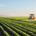 Sindh govt plans dedicated floricultural farms to diversify agriculture