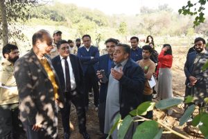 3 new trees to be planted for each tree cut: Dr Musadik Malik