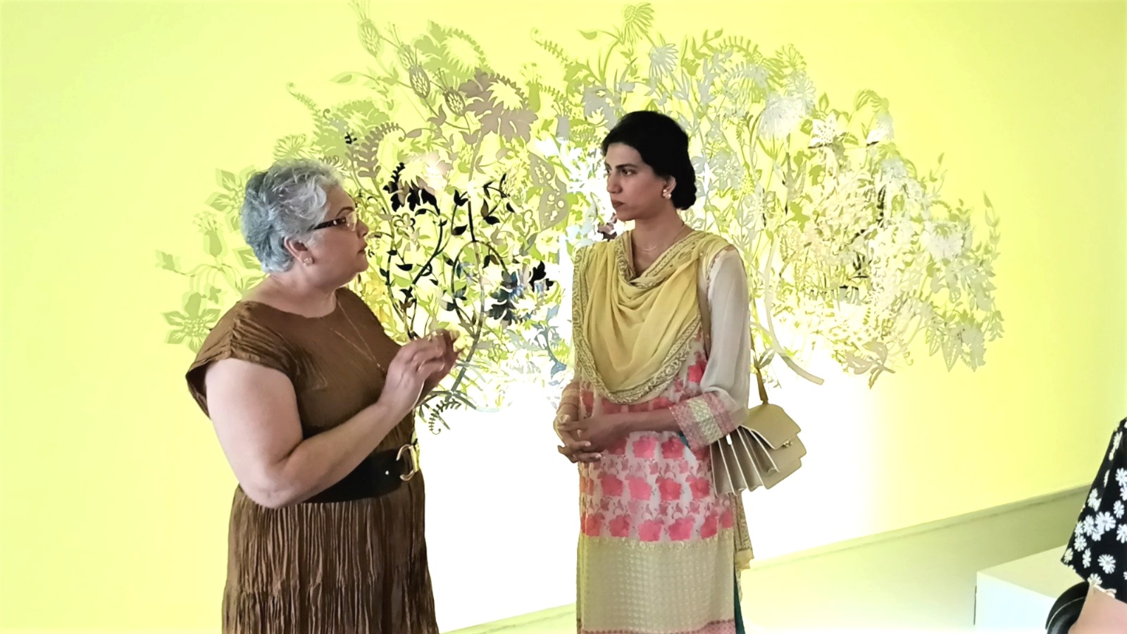 Pak High Commissioner Rabia appreciates renowned artist Anila Quayyum’s work