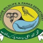 Rawalpindi leads provincial crackdown on illegal hunting in 2025