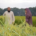 Pakistani scientists develop Basmati variety with longest grain of 9.66mm
