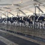 D Cattle Farms, Saudi Titans register wins in Wing 999 Inter-Departmental League