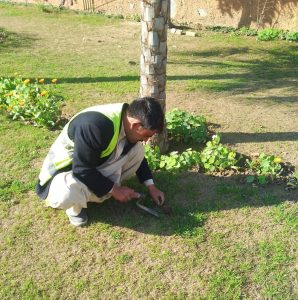 Horticulture Agency enhances parks, green belts across Rawalpindi