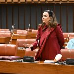 Senate refers NEPRA regulation adjournment motion to committee, adopts privilege motions