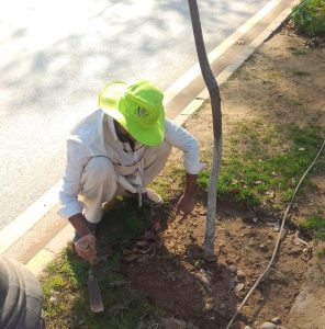 Horticulture Agency enhances parks, green belts across Rawalpindi
