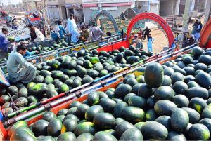 Fresh watermelons sit atop piles of fruit at a fruit market selling directly to fully loaded trucks as preparations intensify ahead of the holy month of Ramazan.