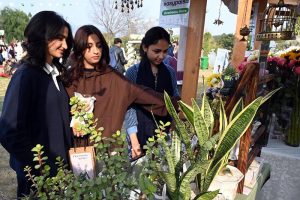 Young girls enjoy a game of ludo at the newly launched Community Market set up by the Capital Development Authority (CDA), aimed at promoting youth entrepreneurship and supporting local businesses amid the rising trend of informal pop-up markets in the Federal Capital