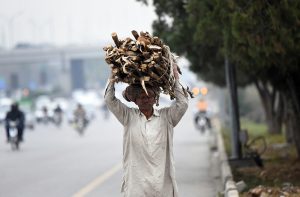 An elderly man carries wood branches on his head for domestic use along the expressway in the Federal Capital.