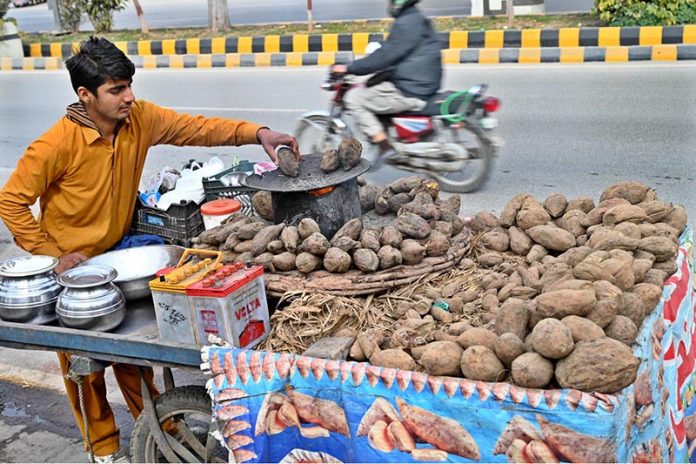 A vendor busy roasting sweet potatoes on his handcart to attract the customers