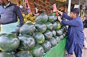 A vendor displaying and selling Water Melon to attract customers at H-9 bazaar in the Federal Capital.