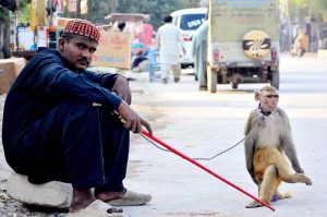 A street juggler sits along the roadside with his trained monkey, waiting to entertain passersby with its tricks to earn his livelihood.