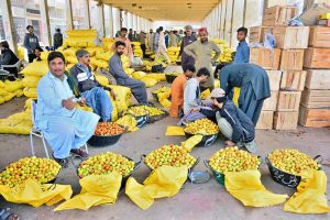 Vendor display fresh jujubes in baskets at the fruit market to attract customers as preparations intensify ahead of the holy month of Ramazan. APP/FHN/TZD/SSH