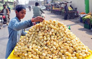 A young vendor arranges freshly cut sugarcane pieces at his roadside stall to attract customers in the city.