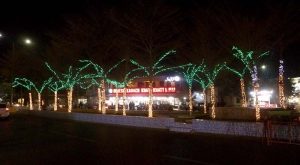 A beautifully illuminated view of the historic Government S.D. High School building, also known as Sadiq Din School, established by the former princely state of Bahawalpur around 120 years ago and still imparting education.