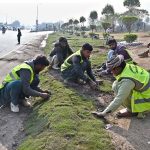 CDA workers are busy placing grass patches along the roadside greenbelt in Faizabad.