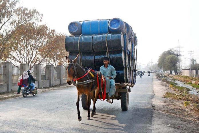 A donkey cart holder is on his way loaded with empty drums