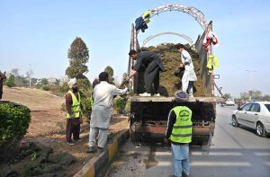 CDA workers are busy placing grass patches along the roadside greenbelt in Faizabad.