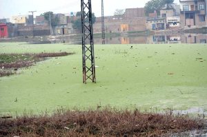 Stagnant sewerage water accumulated in an open space near Achkera on Narwala Road poses a serious dengue threat to local residents.