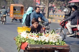 A young vendor displays fresh radishes on his handcart, attracting customers in the local market.
