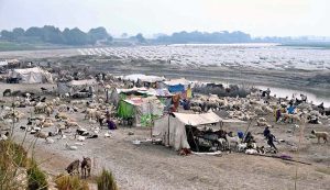 Shanties set up by shepherds in the Kachha area along the Indus River near the Larkana-Khairpur bridge.