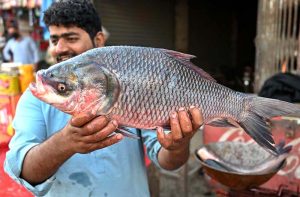 A vendor displays fresh fish pieces to attract customers at the Old Fish Market.