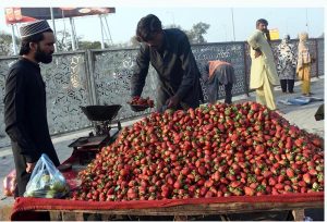 A vendor weighs fresh strawberries for customers at his handcart during the holy month of Ramazan on roadside .