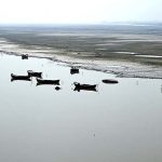 View of a boat parked on the bank of the Indus River near the Larkana-Khairpur Bridge.