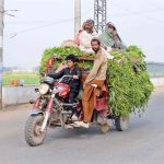 Farmer family traveling on a loader rickshaw loaded with green fodder for livestock.