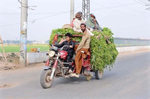 Farmer family traveling on a loader rickshaw loaded with green fodder for livestock.
