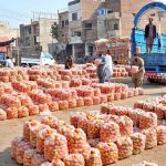 Labourers are busy unloading fresh tomatoes from deliver truck at a local wholesale vegetable market