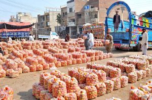 Labourers are busy unloading fresh tomatoes from deliver truck at a local wholesale vegetable market