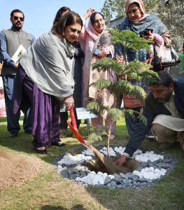 Chairperson BISP, Ms. Rubina Khalid, inaugurates the Benazir Nashonuma Facilitation Centre for people at Molvi Ameer Shah Hospital.
