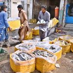 Workers arrange and pack fish in boxes at Husainabad for delivery to other cities.