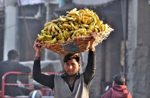 Vendors take part in a banana auction at a wholesale fruit market as traders bid for fresh produce during early morning trading hours.