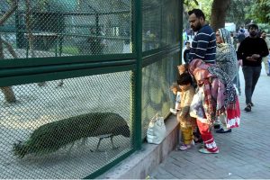 Families enjoy their holiday at the zoo in the Provincial Capital