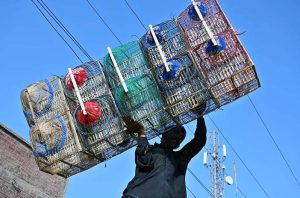 A vendor unloads bird cages from a delivery van near the old fish market.