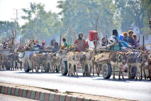 A caravan of nomadic women travels with their children and belongings on a donkey cart in search of a new place to stay along Sabzi Mandi Road.