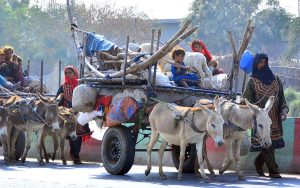 A caravan of nomadic women travels with their children and belongings on a donkey cart in search of a new place to stay along Sabzi Mandi Road.