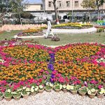 A beautiful view of spring flowers show organized by the Mayor Municipal Corporation Larkana Adv Anwar Ali Luhur at Jinnah Bagh