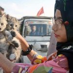 A girl displays kitten to attract the customers at Saddar Bird Market