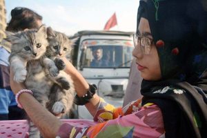 A girl displays kitten to attract the customers at Saddar Bird Market