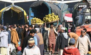 A laborer transports oranges on a wheelbarrow at a fruit market in the Federal Capital.